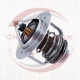 ترموستات آریو s300